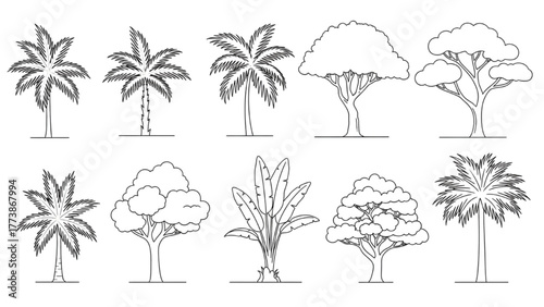 Diverse Collection of Botanical Tree Outlines A Set of Hand-Drawn Plant Line Art Illustrations for Graphic Design and Nature-Themed Projects