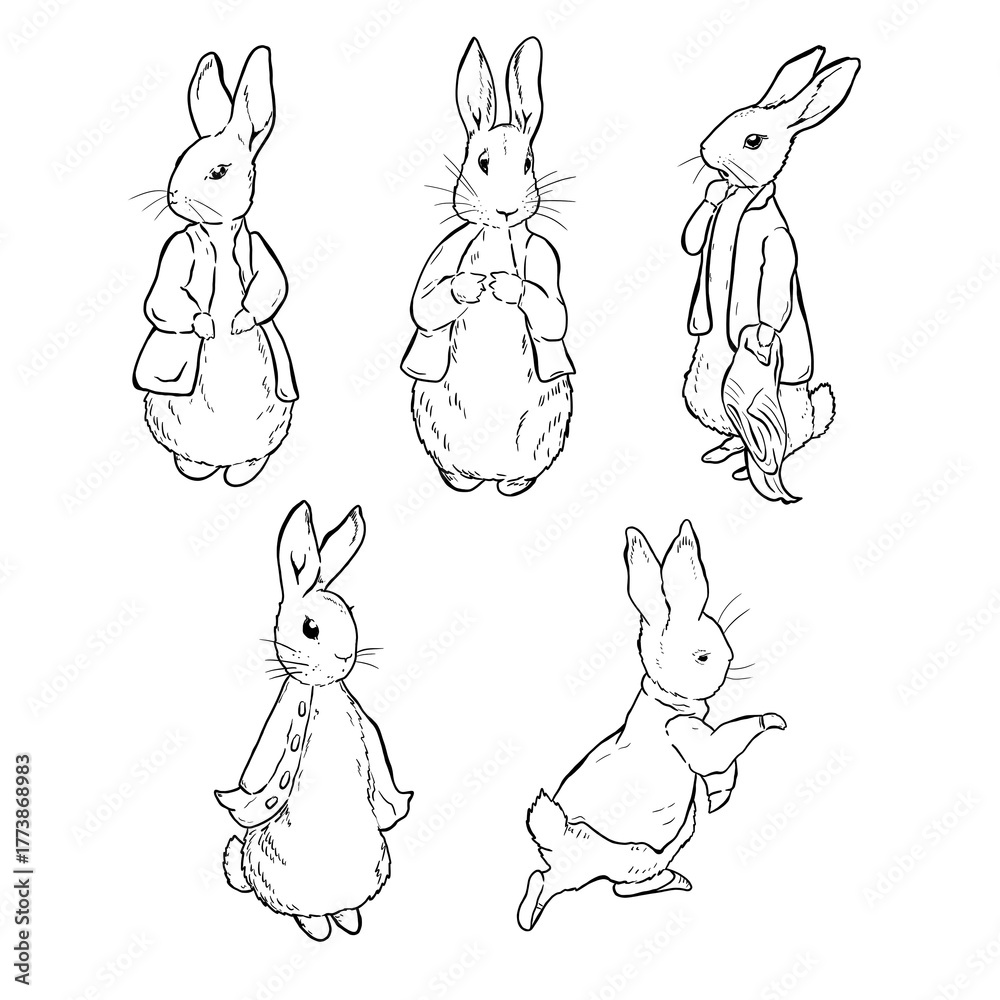 Obraz premium Peter Rabbit, set of illustrations in line art style, doodle, characters.