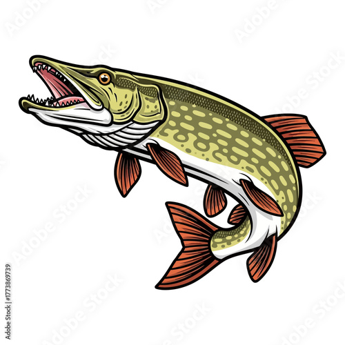 pike fishing illustration logo vector image t shirt