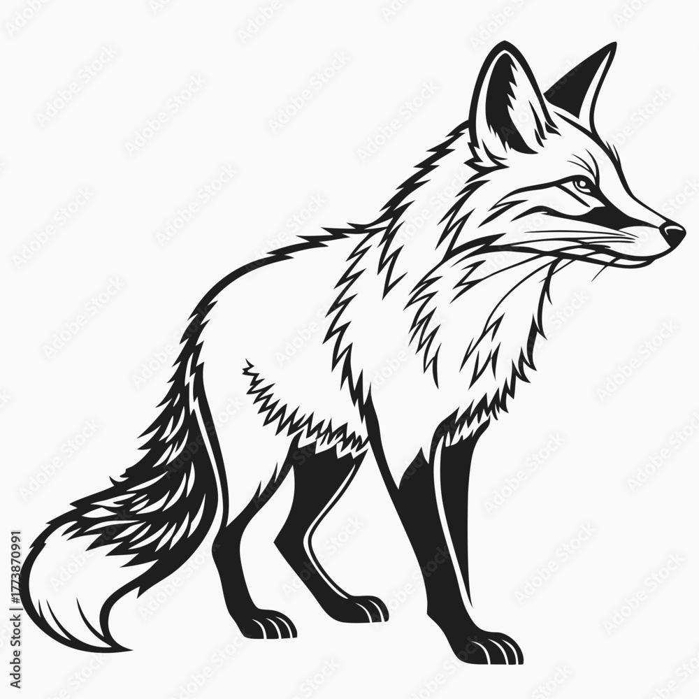 Obraz premium fox on white background