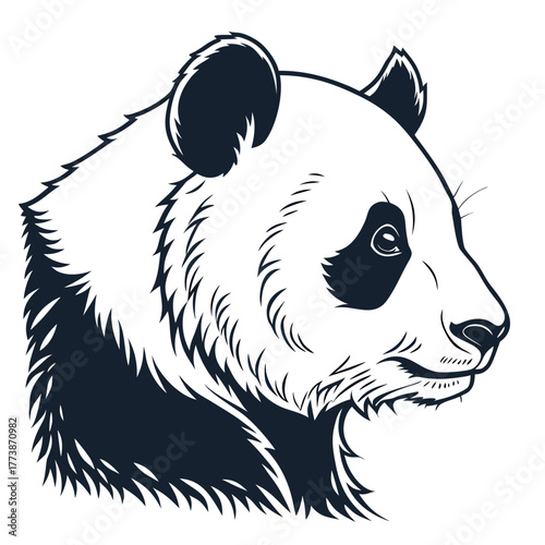 panda bear vector