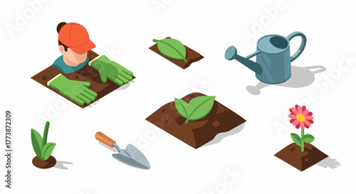 Isometric gardening elements set, featuring planting stages, green gloves, watering can, trowel, and blooming flower on soil.