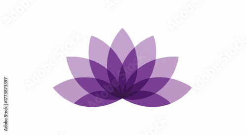 lotus flower vector illustration