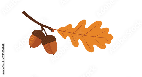 Autumn acorns and a single oak leaf on a branch.