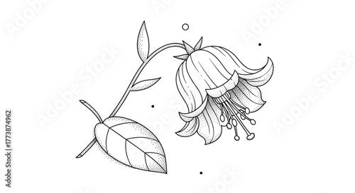 A delicate sketch of a fuchsia flower with a leaf and stem.