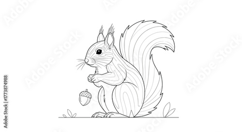 Detailed line art drawing of a fluffy squirrel nibbling on a nut.