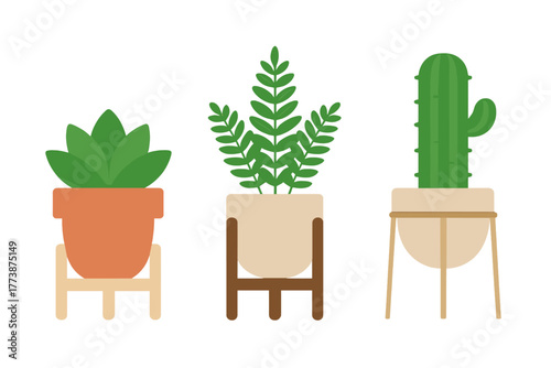 Set of three modern potted houseplants: succulent, leafy foliage, and tall cactus in stylish stands