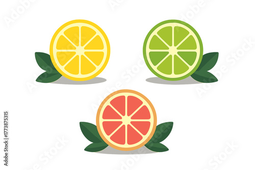 Fresh slices of lemon, lime, and grapefruit citrus fruits with green leaves on white