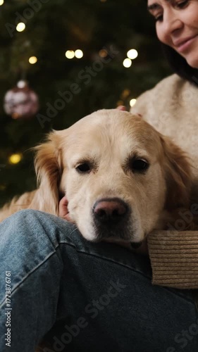 Female Owner Petting Adorable Golden Retriever Dog On A Sofa Against A Christmas Tree, Vertical Video