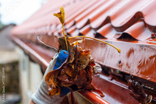 A man pulls a large pile of wet autumn leaves from a clogged gutter during a rainstorm. Gutter cleaning
