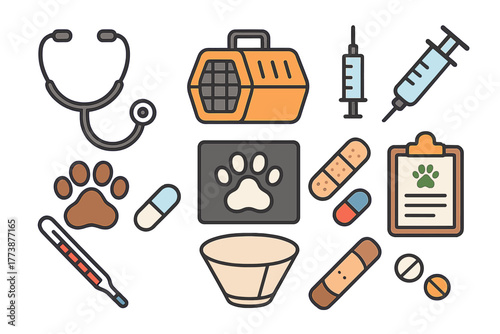 Essential veterinary medical supplies and pet health care objects including stethoscope, syringe, and carrier