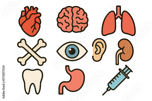 Human anatomy set showing internal organs like heart brain lungs kidney stomach and medical syringe