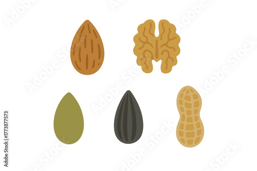 Assortment of healthy nuts and seeds including almond walnut peanut and sunflower