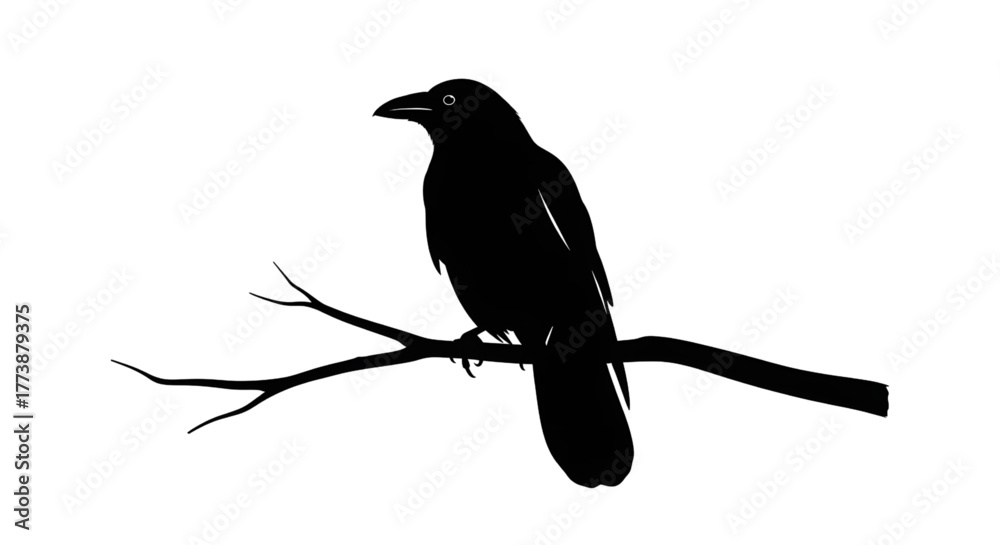 Fototapeta premium Mysterious raven perched on branch, evoking folklore and nature's beauty, perfect for Halloween designs, gothic art, or wildlife projects with a timeless appeal