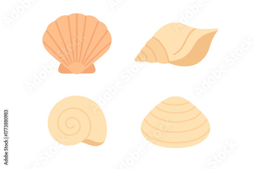 Various seashells and marine mollusk shells in soft pastel colors