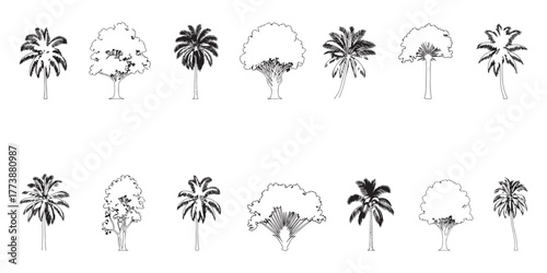 Collection of elegant intricate black and white floral ornamental designs and decorative elements for graphic design