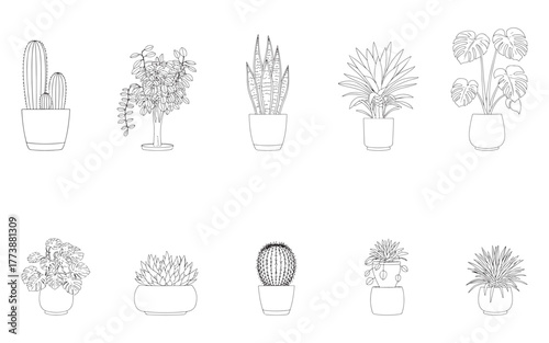 Collection of ten diverse potted houseplants in a minimalist line art style for home decor and botanical illustration
