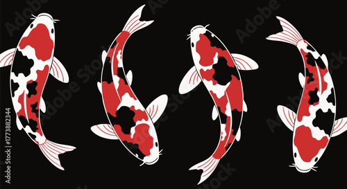 Elegant koi fish swimming gracefully in a dark pond creating a peaceful ambiance
