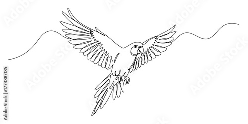 Continuous one line of a flying parrot spreading its wings, style vector illustration.
