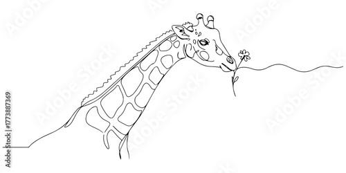 Continuous one line of a giraffe sniffing a small flower, style vector illustration.
