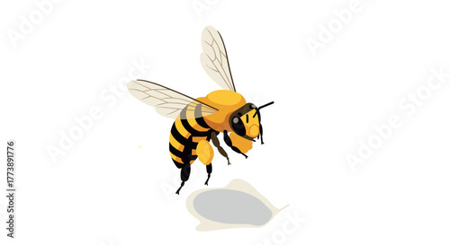 Realistic 3d bee with transparent wings
