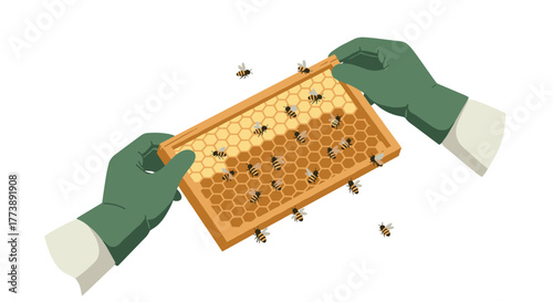 Flat design beekeeping scene with honeycomb and bees in hands with green gloves