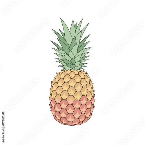 Pineapple illustration with green leaves and yellow-orange body  