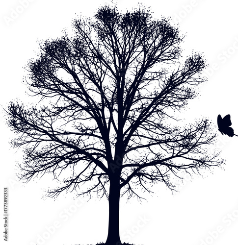 Dark silhouette of a futuristic aircraft with broad wings, perfectly mirrored on a vast, tranquil surface. An ethereal sky backdrop suggests exploration and discovery