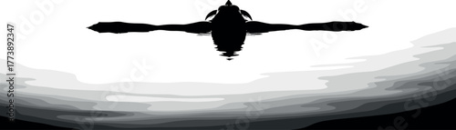 Silhouette of a plane soaring above a hazy landscape, evoking a sense of travel and adventure