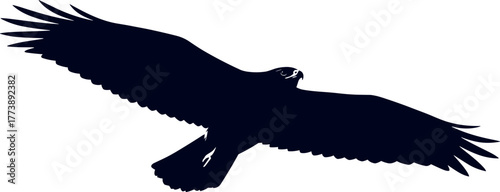 Striking dark silhouette of an eagle mid-flight, capturing its essence of strength and liberty, a versatile graphic element for logos, icons, and nature-themed projects