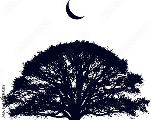 Mystical night sky silhouette featuring a majestic ancient tree under a delicate crescent moon, symbolizing growth, wisdom, and tranquility in nature's serene embrace