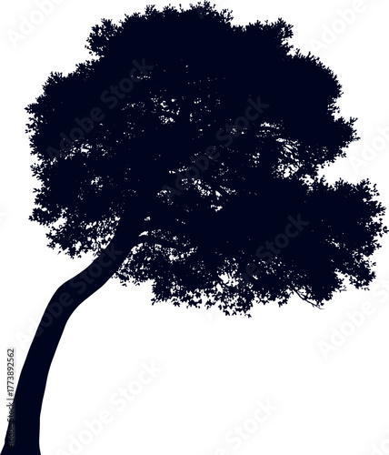 Silhouette of a bent tree with a large canopy against a white background, showcasing a natural form