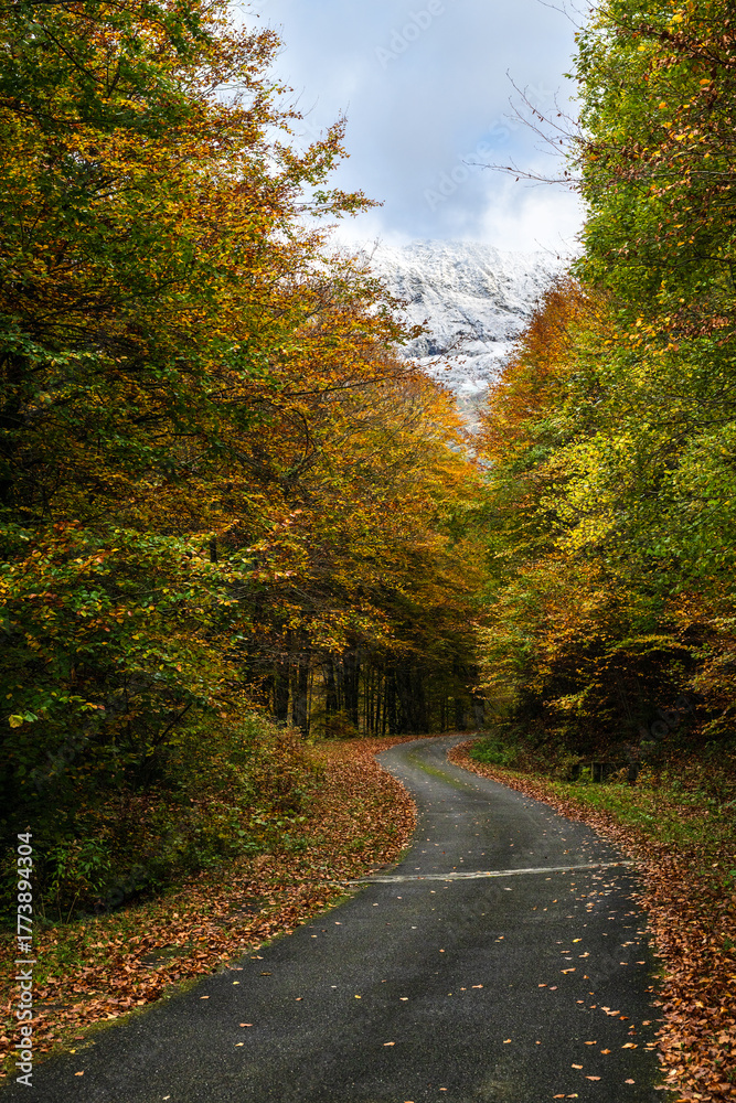 Fototapeta premium Mountain road in autumn with snowy mountain peak in background. Pyrenees mountains in southwest France