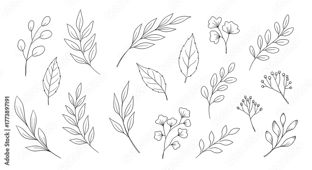 Fototapeta premium Elegant hand drawn collection of minimalist thin line sprigs, branches, leaves, and botanic elements set isolated on a white background, design vector illustration