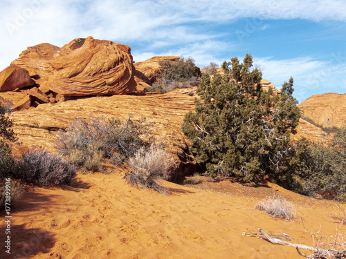 Rock Formation in Snow Canyon Utah