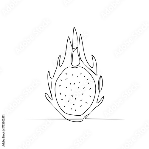 Minimalist dragon fruit line art illustration. Decorative fruit design element for food themed concepts.