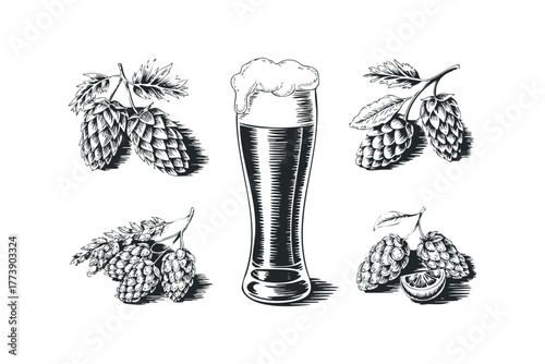 Glass of beer with hops and lemon slice