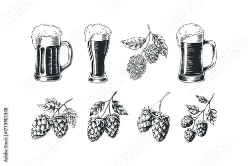 Collection of Beer Mugs and Hops Sprigs