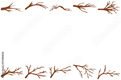 Tree Branch Twig Illustration