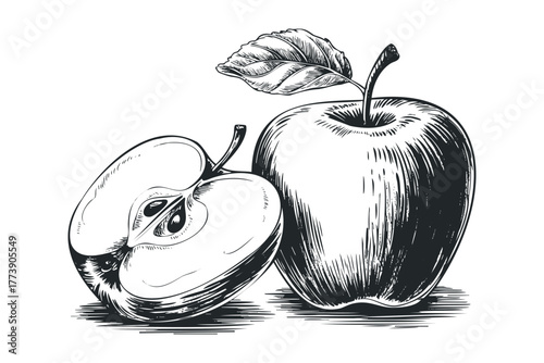 Hand drawn sketch of whole and halved apple with leaf