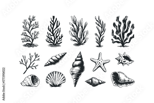 Ocean flora and fauna sketch collection