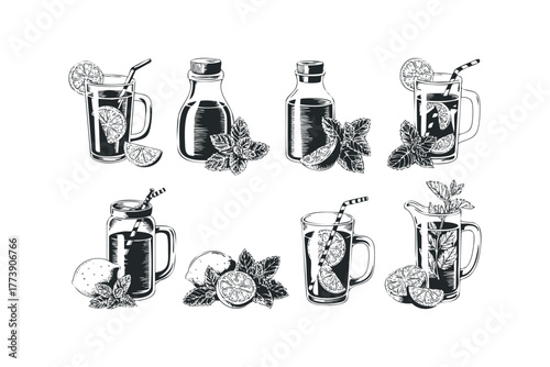 Collection of Refreshing Drinks with Citrus and Mint