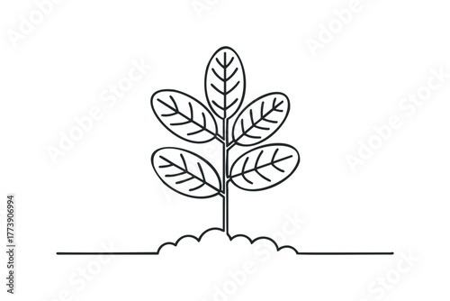 Minimalist single line drawing of a plant sprout
