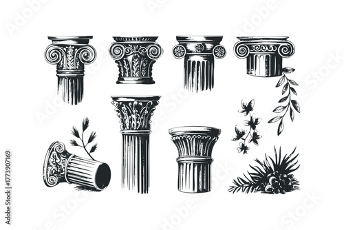 Classical architectural column capitals and botanical elements