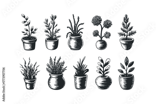 Collection of Potted Plants in Sketch Style