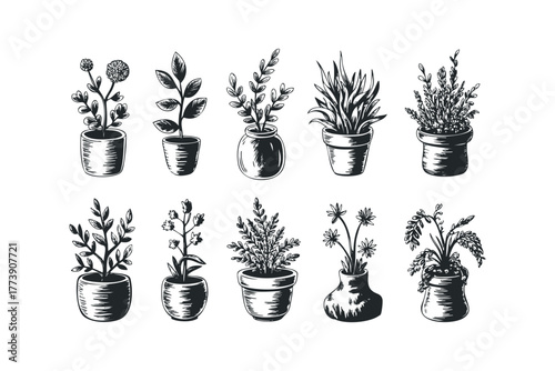Collection of ten sketched potted plants with leaves and flowers