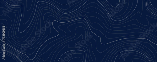 Topographic map pattern background vector. Abstract mountain terrain map background with abstract shape line texture. Design illustration for wall art, fabric, packaging, web, banner, wallpaper.