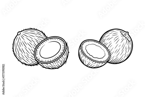Illustration of Whole and Halved Coconuts with Textured Details, Perfect for Tropical Themes and Healthy Lifestyle Designs