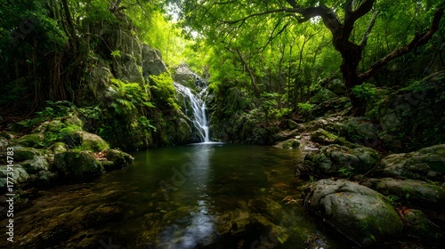 Lush dense rainforest features a cascading waterfall plunging into a tranquil pool surrounded by mossy rocks and vibrant green foliage
