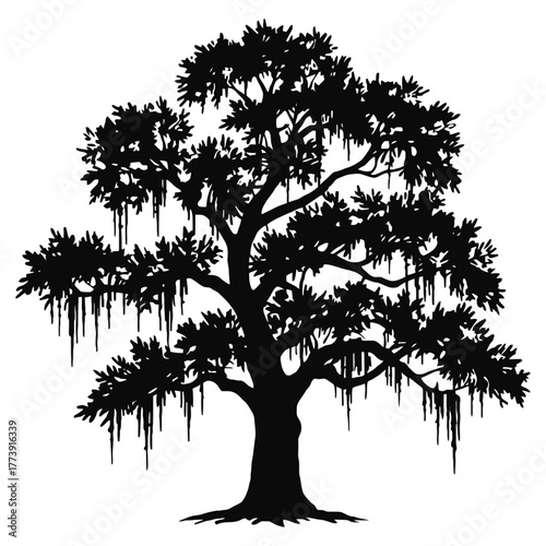 Majestic live oak tree silhouette with hanging spanish moss detailed natural outdoor scene isolated on white background perfect for landscape design and botanical illustration uses